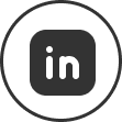 LinkedIn Icon